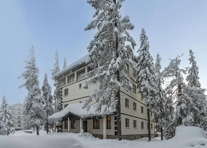 Hotel Grand Lion Drahobrat