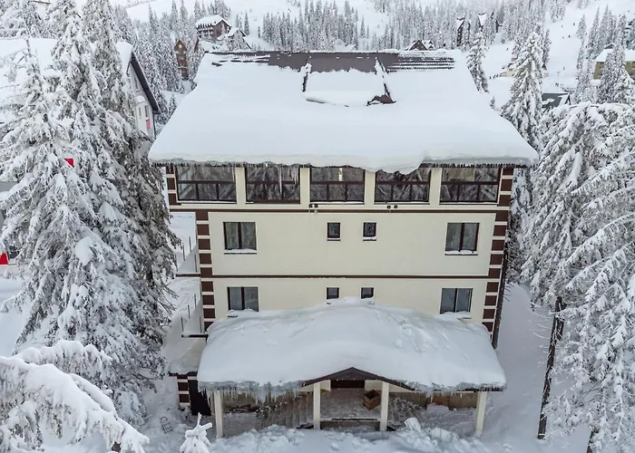Hotel Grand Lion