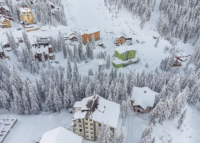 Grand Lion Hotel Drahobrat