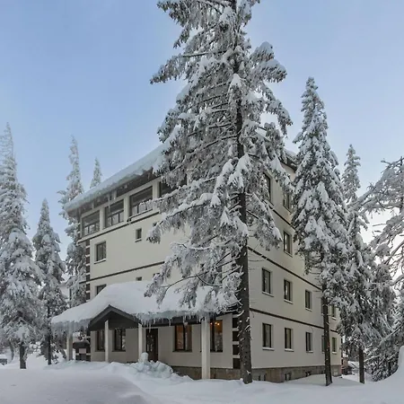 Отель Grand Lion Драгобрат