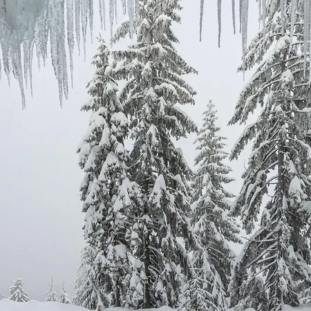 Отель Grand Lion *