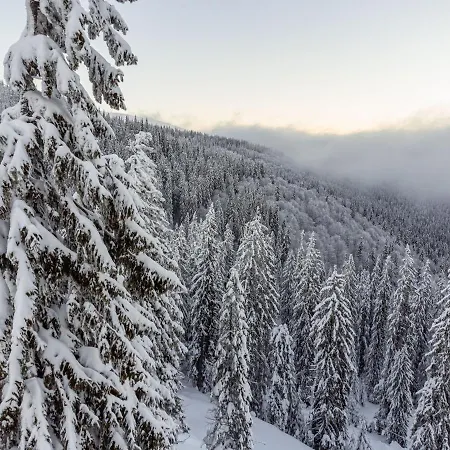 Отель Grand Lion *